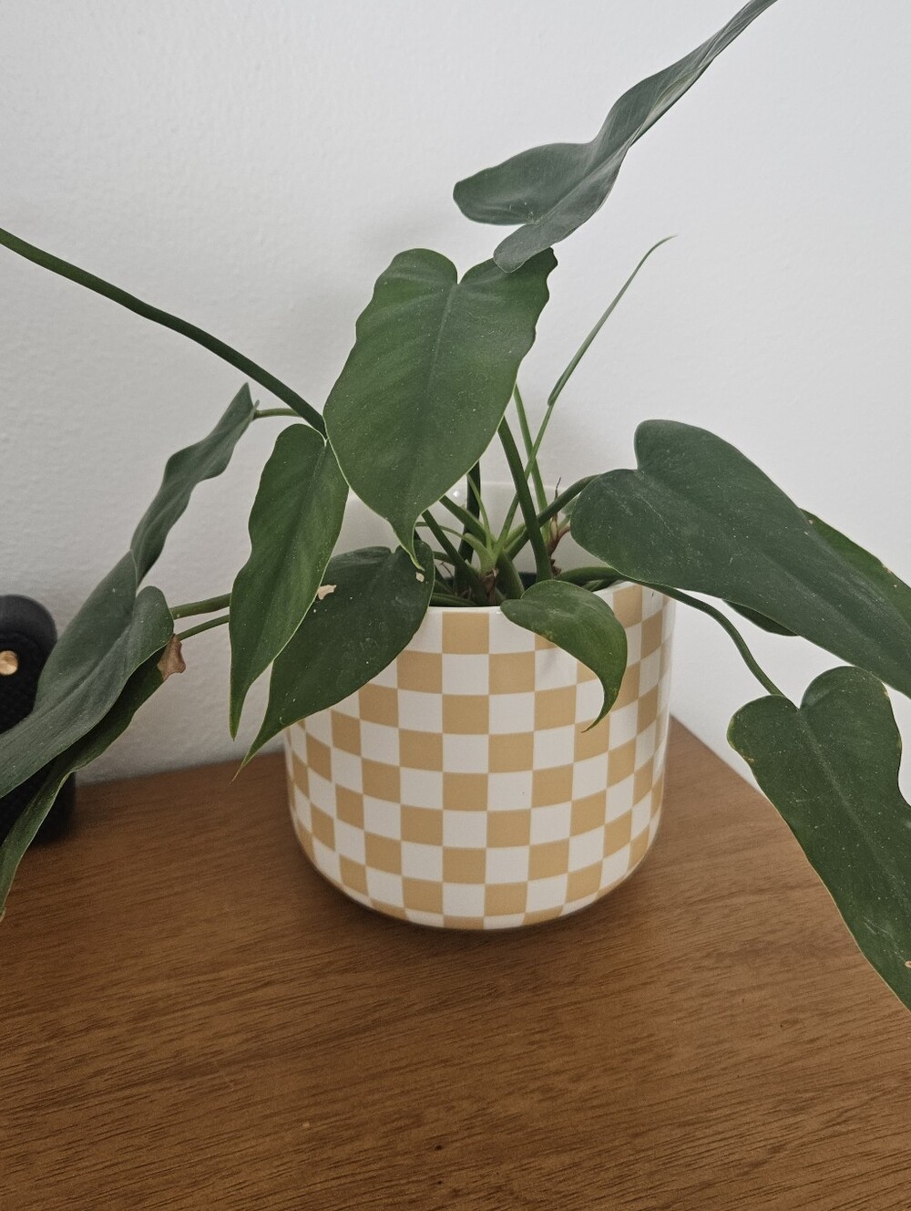 checkerboard square geometric ceramic boho retro indie y2k grunge planter pot